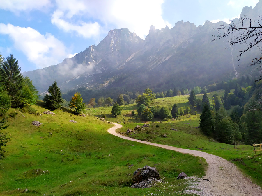 Sentiero dei Grandi Alberi nelle Piccole Dolomiti